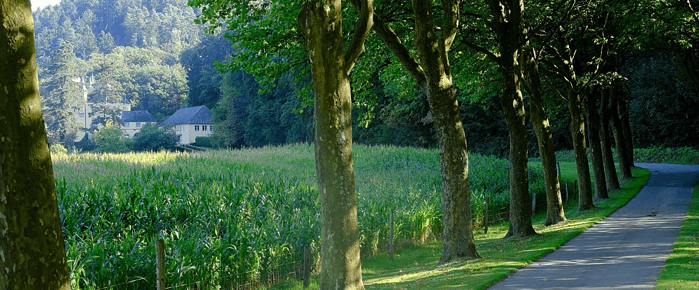 Bergisches Land.png