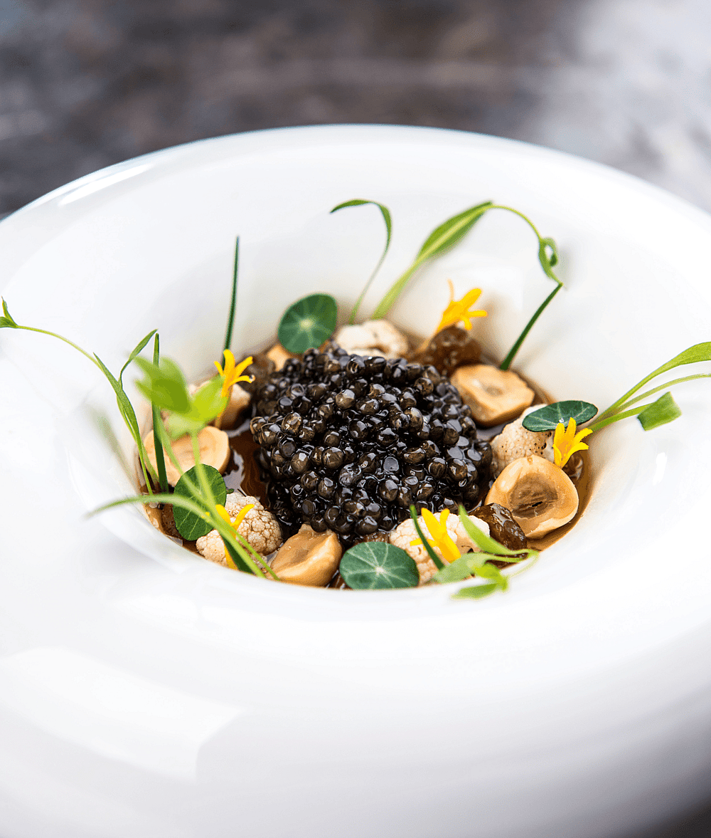Fine Dining RS – Gourmet Restaurant at Burghotel Staufeneck | Quality Lodgings