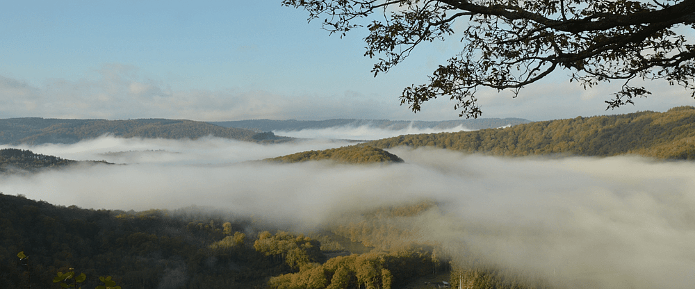 De Belgische Ardennen .png
