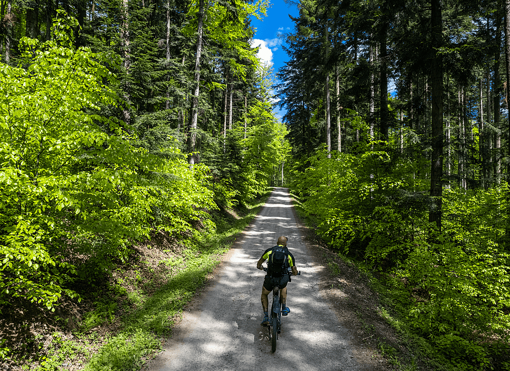Green_trails[1].png