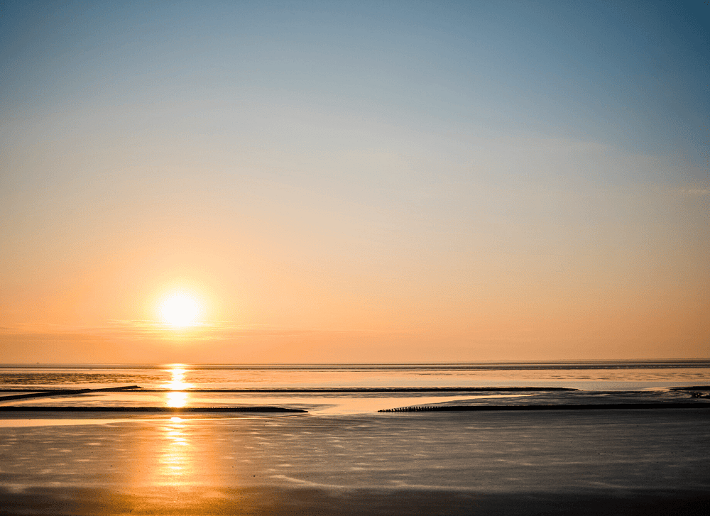 Het Wad Hotel Reichshof.png