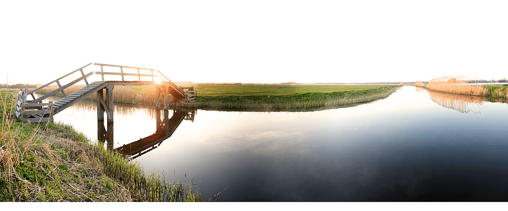 Het weidevogelgebied Zegveld polder .png