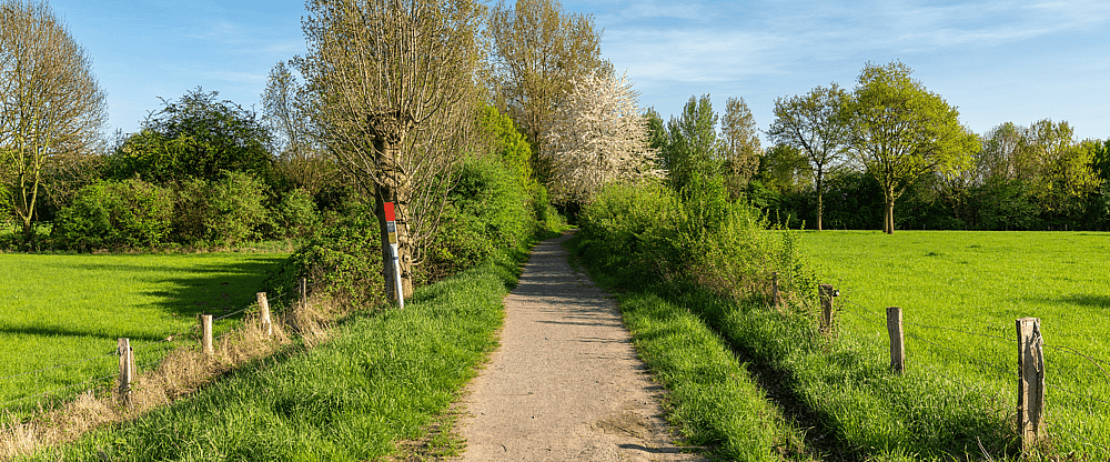 Heuvelachtig bosrijk natuurgebied.png