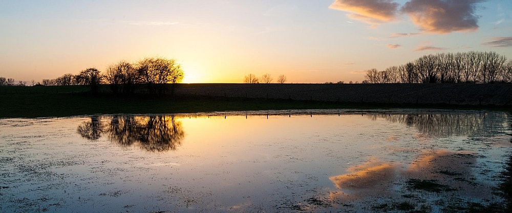Hofke van Bazel de Schelde 1920 x 800 pixels.jpg