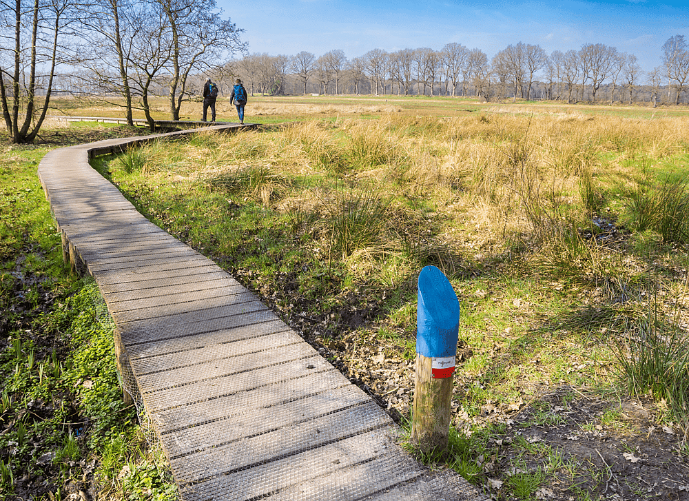 Hoog Holten_Pieterpad.png