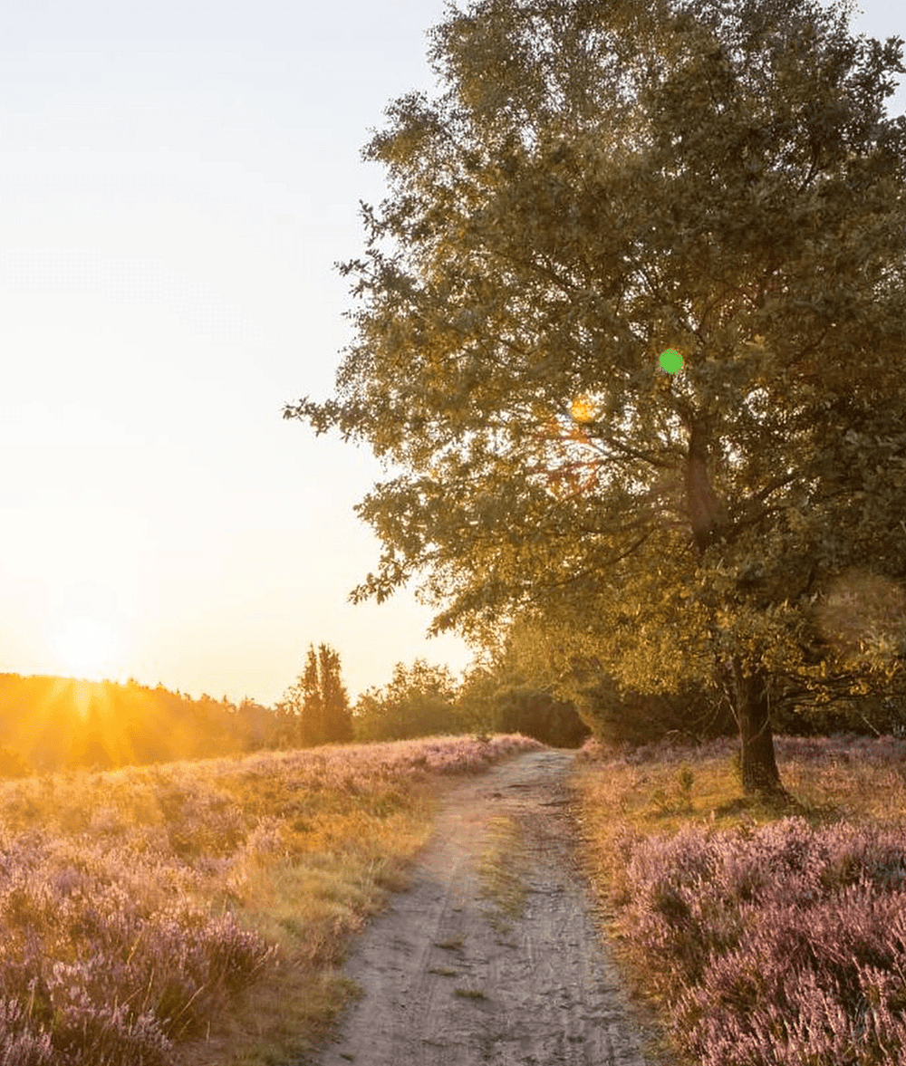 Hotel Hoog Hotel_Holten_the Netherlands_Nature.png
