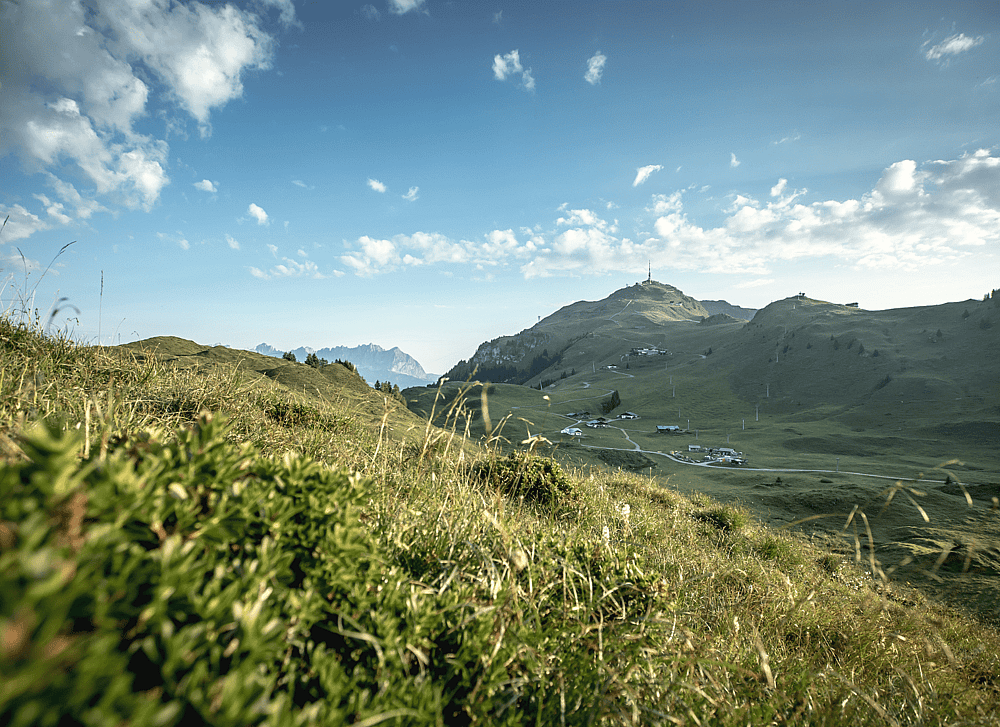 Hotel Tennerhof_Hotel_Austria_Kitzbühl_Kitzbüheler Horn.png