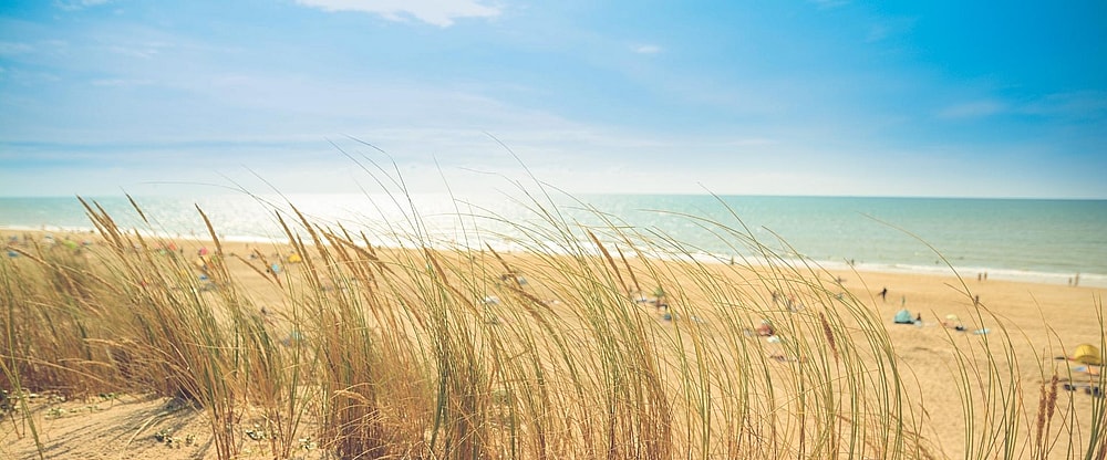 Kasteel De Wittenburg - Strand Wassenaar 1920 x 800 pixel.jpg