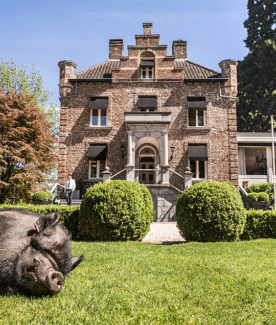 Kasteeltje Hattem – Boutique Castle Retreat in Roermond, Netherlands | Quality Lodgings