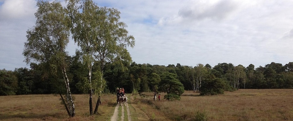 Landgoed Carelshaven Omgeving Twente - 1920 x 800 pixels.jpg