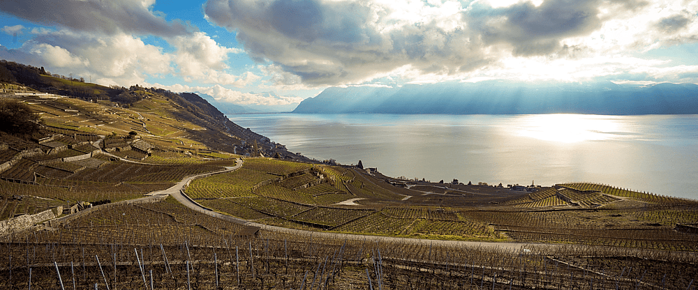 Lavaux.png