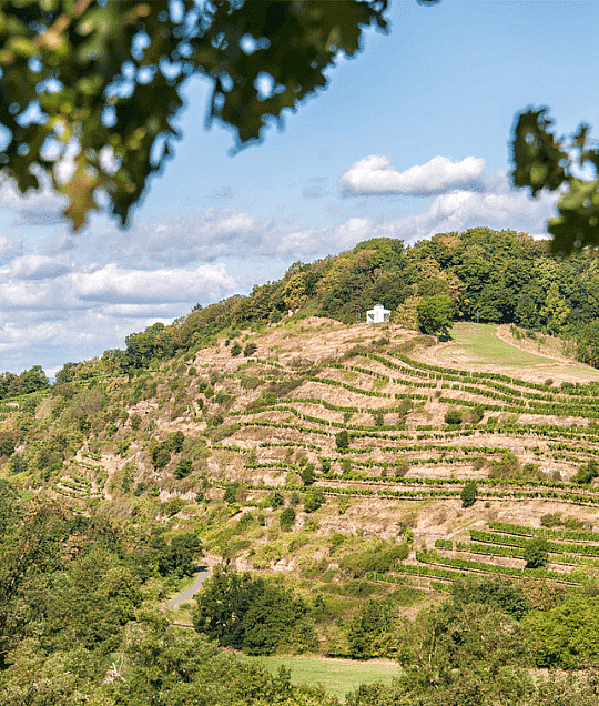 Meisenheimer Hof – Historic Wine Hotel in Meisenheim, Germany | Quality Lodgings