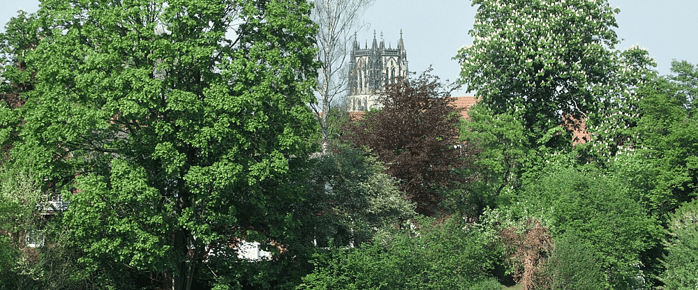 Münster Parklandschap.png