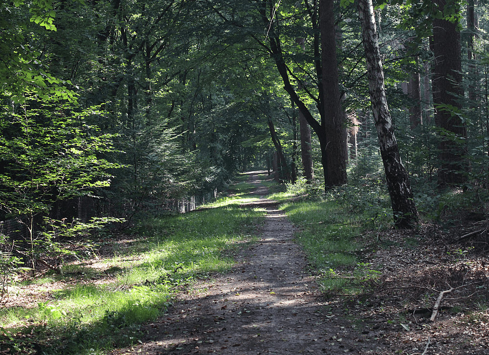 Nationaal Park Utrechtse Heuvelrug.png
