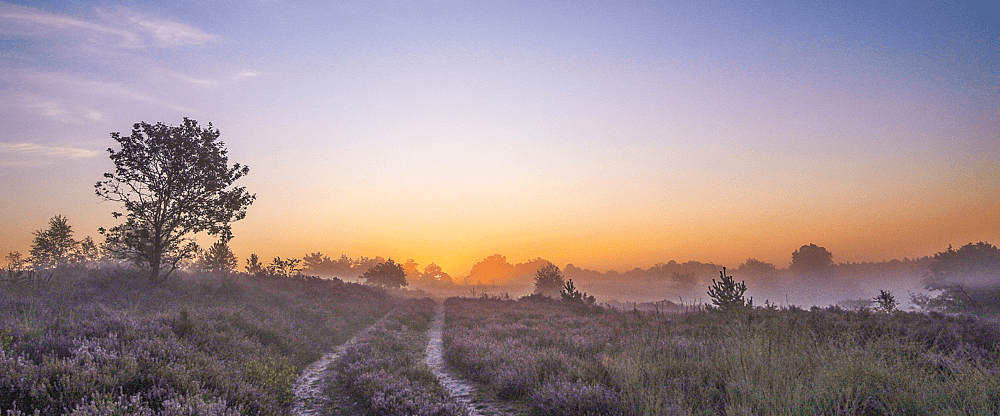 National park hoge kempen.png