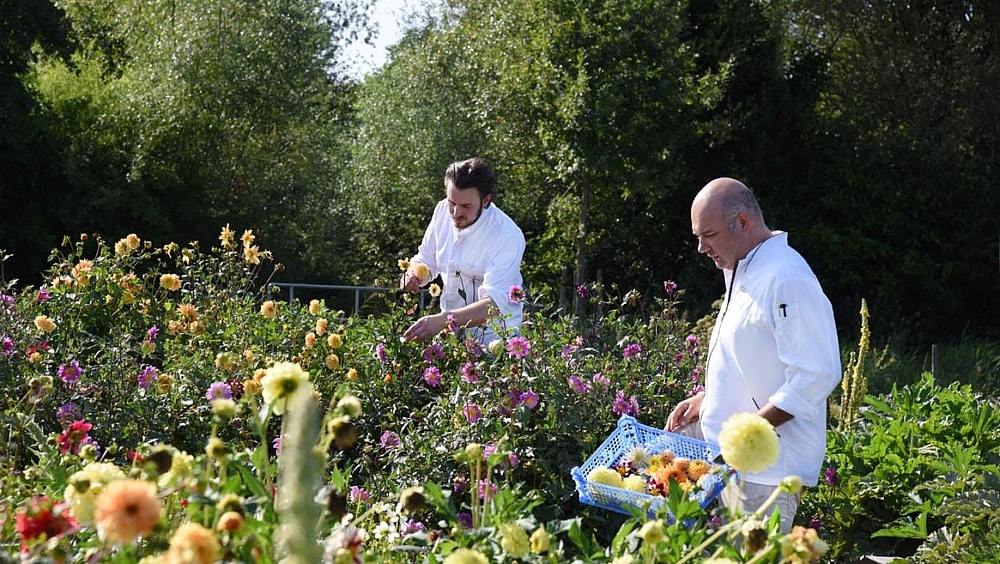 Hofke van Bazel – Michelin-Starred Hospitality in Flanders | Quality Lodgings