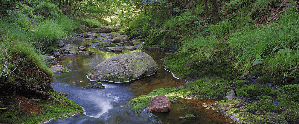 Natuur Our.png