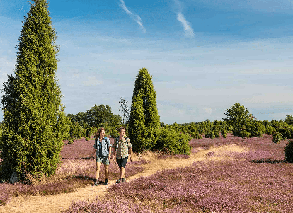Niemeyers Posthotel_Germany_Naturpark Sudheide.png