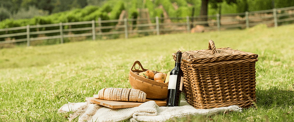 Picknick.png