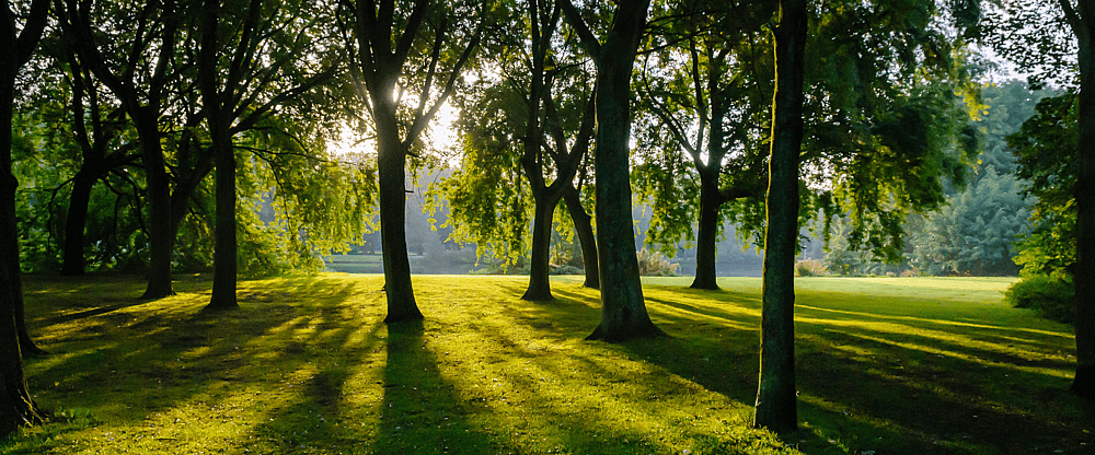 Rembrandtpark.png
