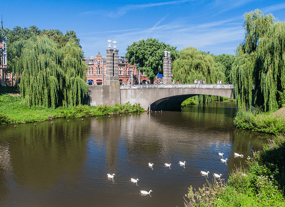 'S Hertogenbosch.png