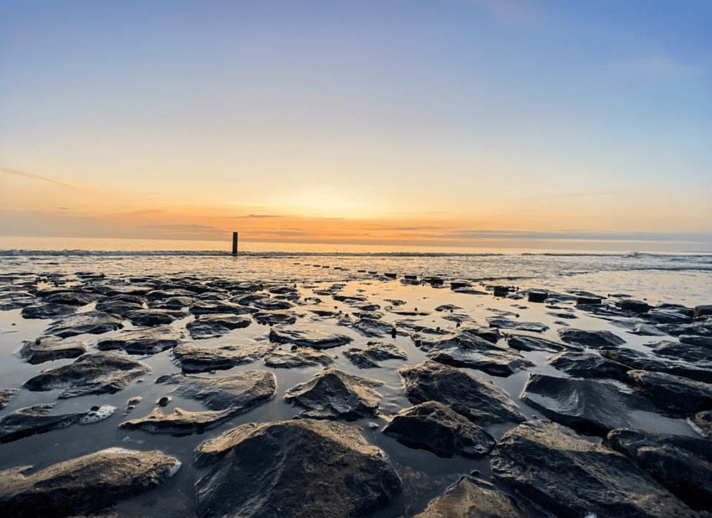 Texel.png