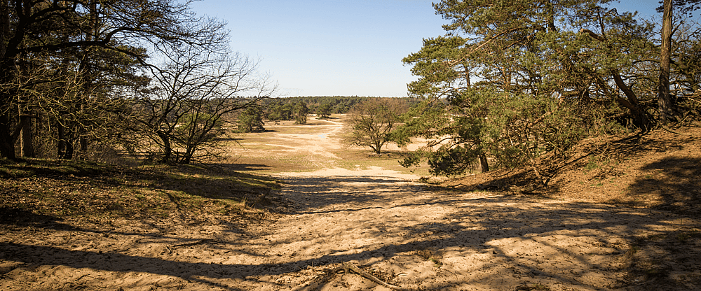 Veluwe.png
