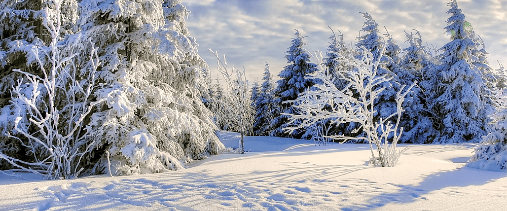 Winterwandelingen en sneeuwschoentochten.png
