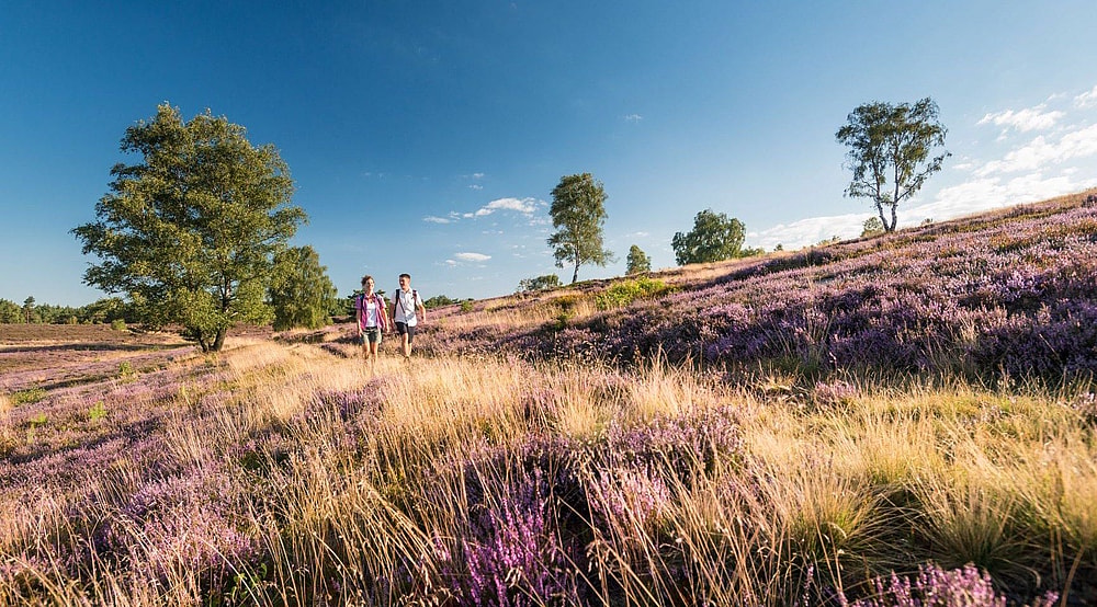 wandelen-op-de-lueneburger-heide.jpg
