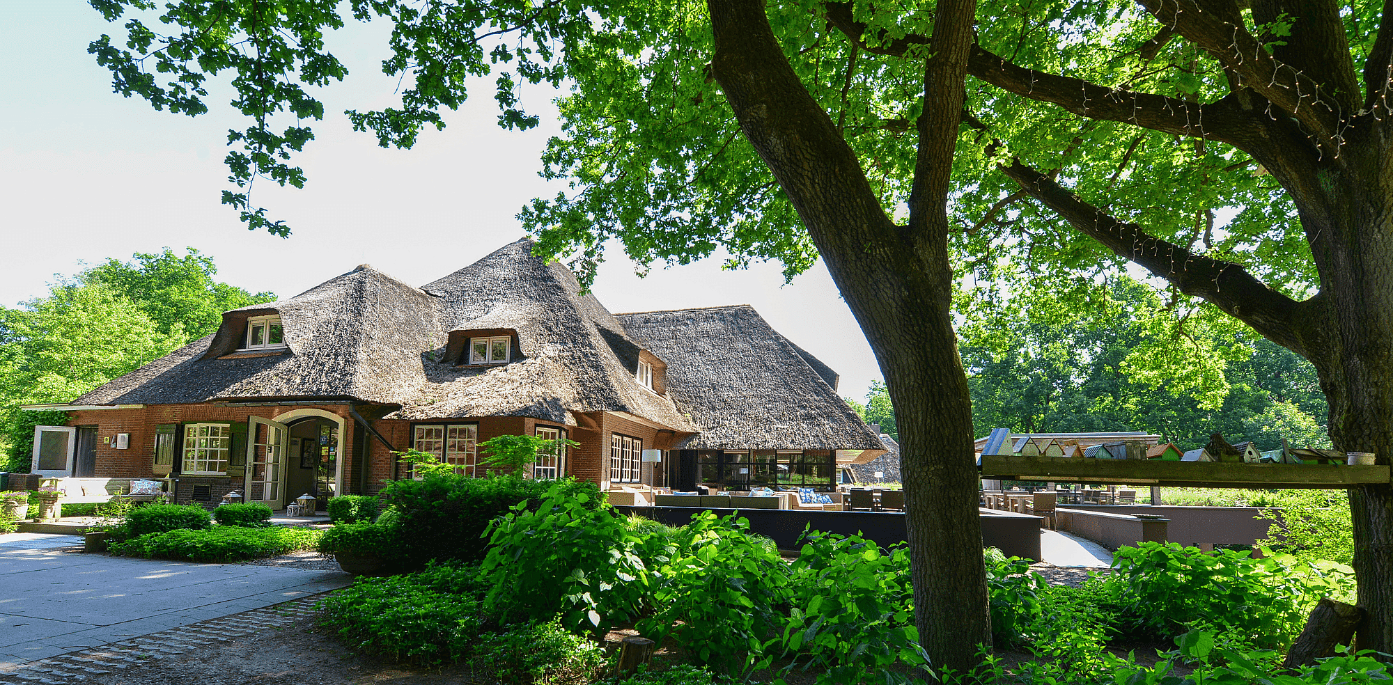 Hotel Hoog Hotel_Holten_Netherlands_Hotel.png